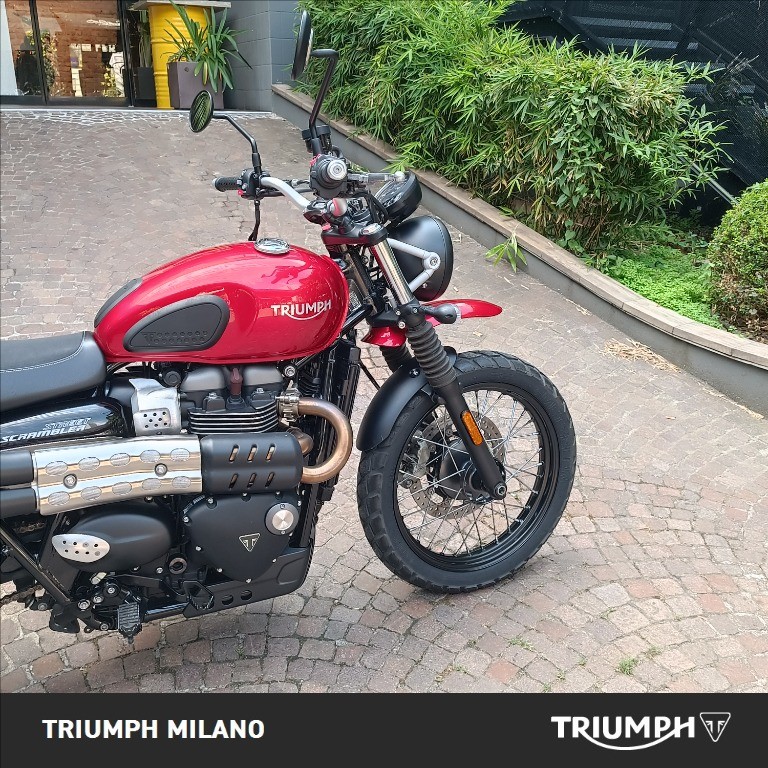 TRIUMPH Street Scrambler 900 