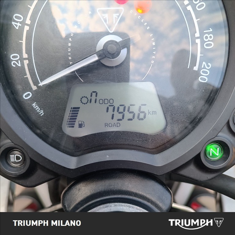TRIUMPH Street Scrambler 900 