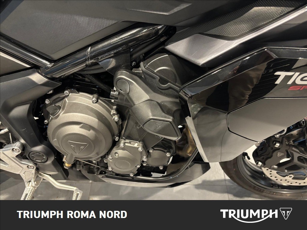 TRIUMPH Tiger Sport 800 Abs