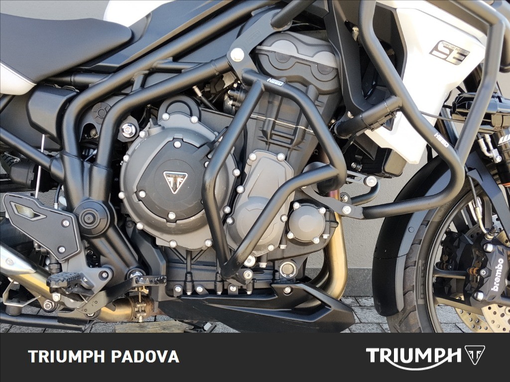 TRIUMPH Tiger 1200 Alpine Edition Abs