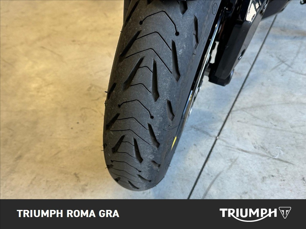 TRIUMPH Tiger Sport 660 Abs