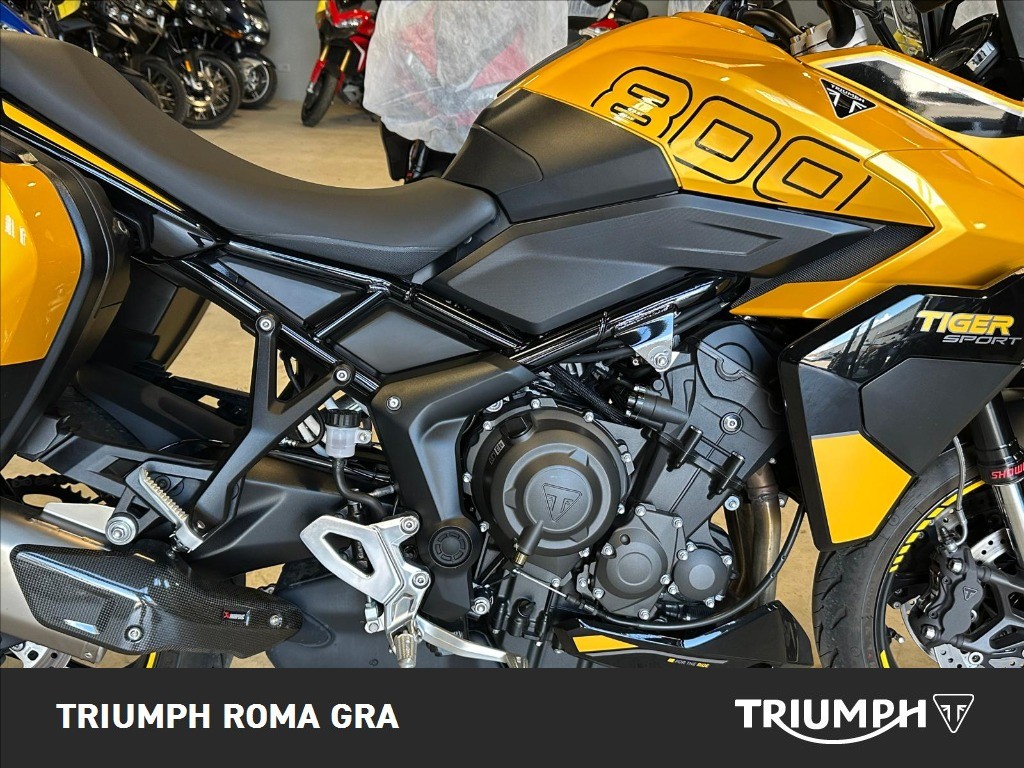 TRIUMPH Tiger Sport 660 Abs
