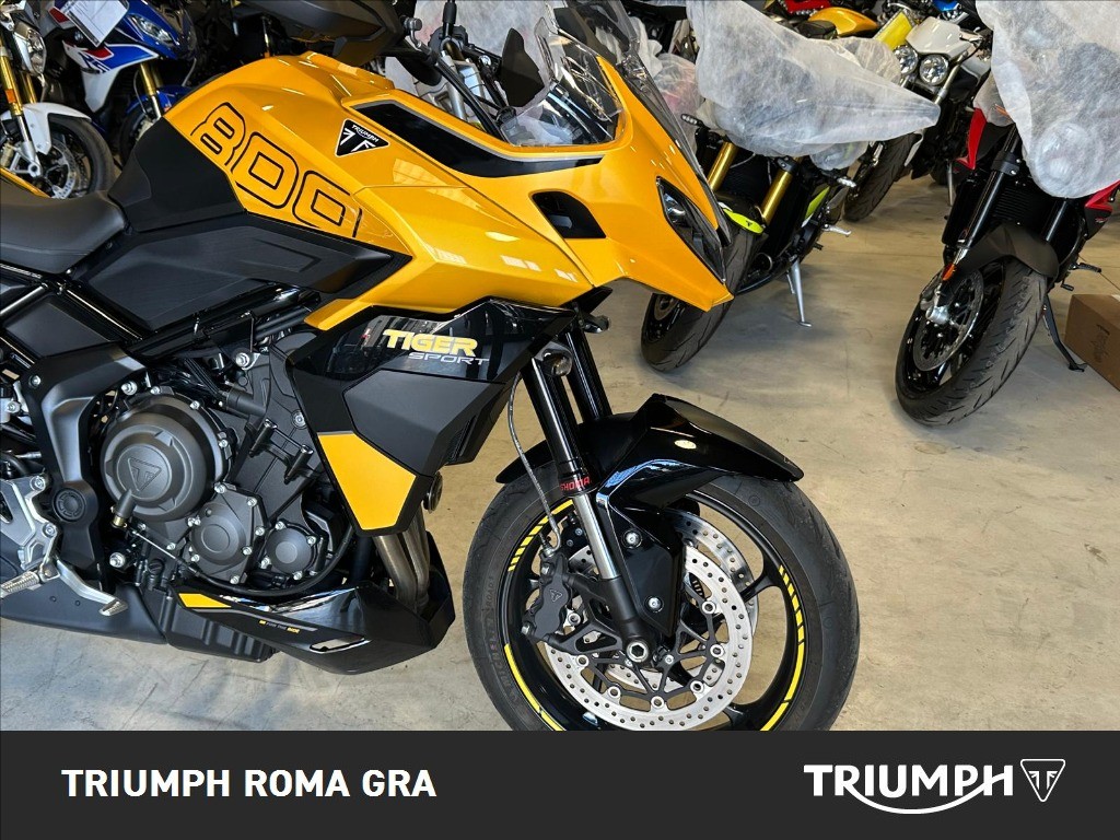 TRIUMPH Tiger Sport 660 Abs