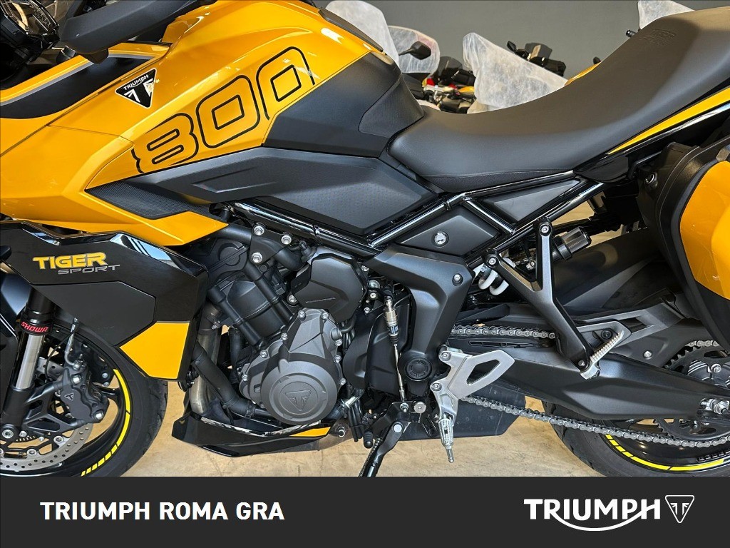 TRIUMPH Tiger Sport 660 Abs