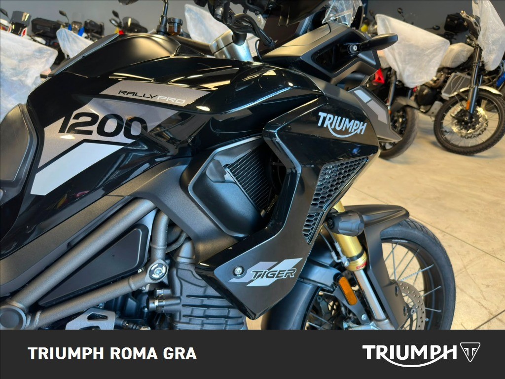 TRIUMPH Tiger 1200 Rally Pro Abs