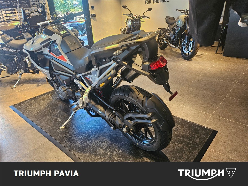 TRIUMPH Tiger 1200 Alpine Edition