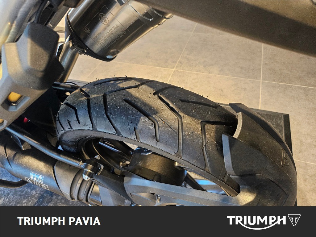 TRIUMPH Tiger 1200 Alpine Edition