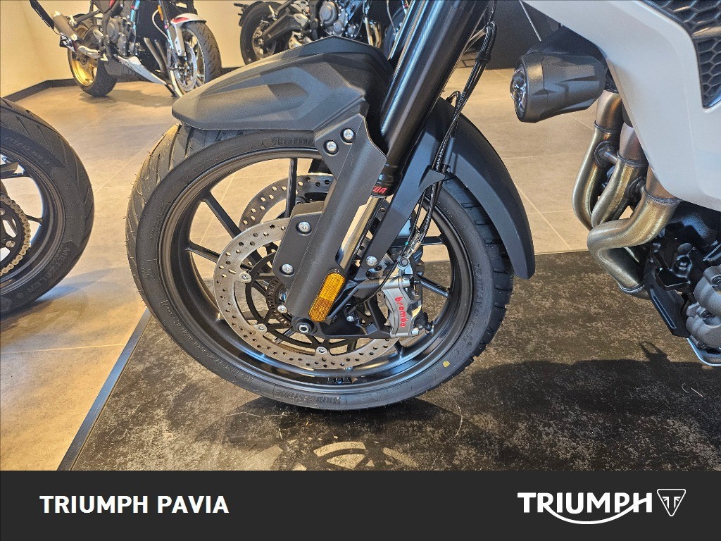 TRIUMPH Tiger 1200 Alpine Edition