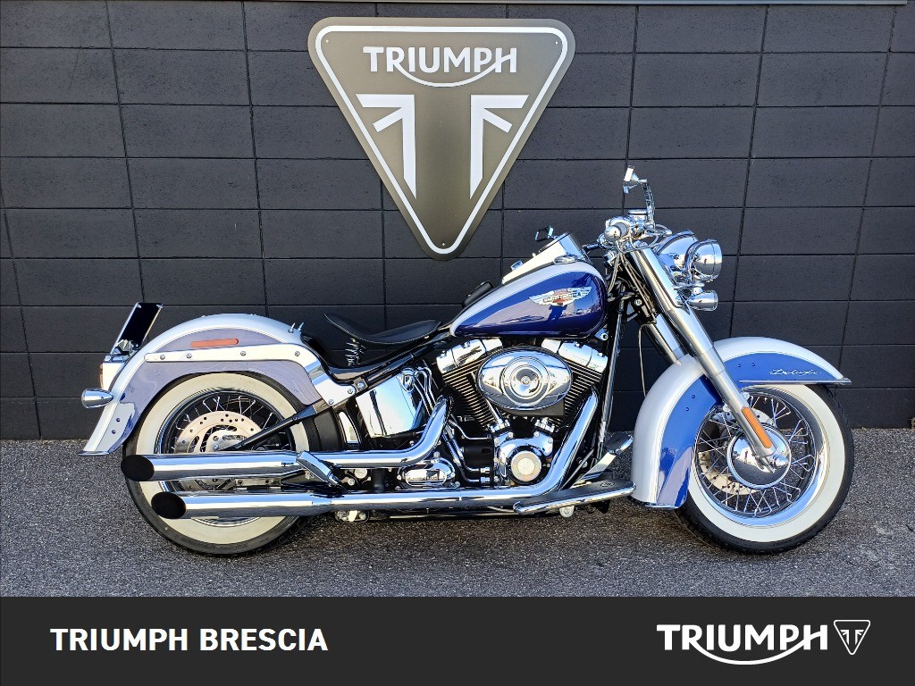 HARLEY-DAVIDSON Softail 1584 FLSTN  De Luxe