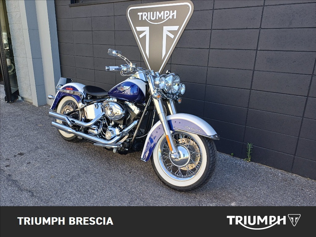 HARLEY-DAVIDSON Softail 1584 FLSTN  De Luxe