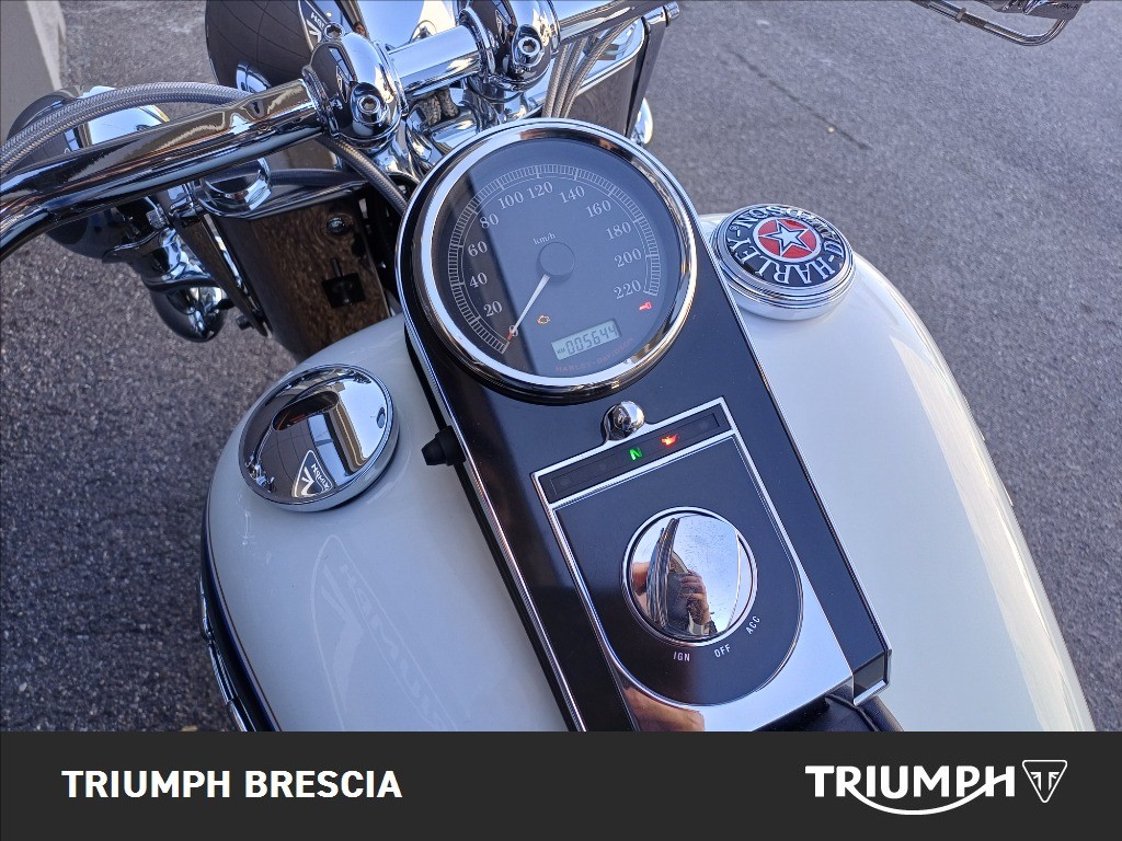 HARLEY-DAVIDSON Softail 1584 FLSTN  De Luxe