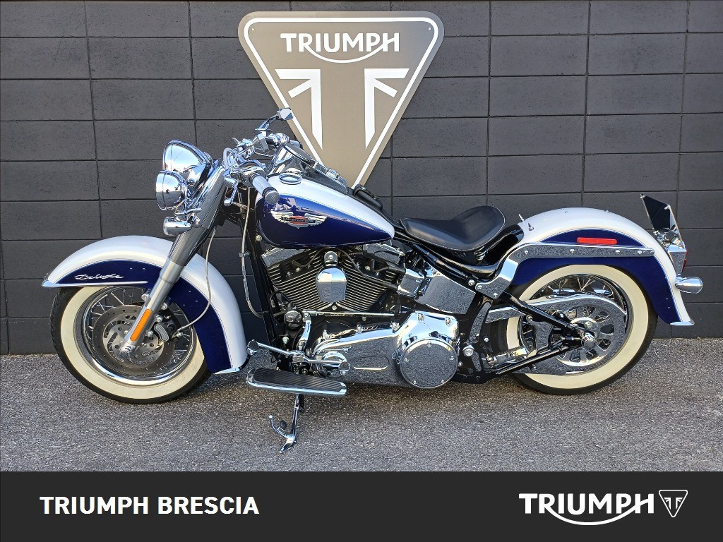 HARLEY-DAVIDSON Softail 1584 FLSTN  De Luxe