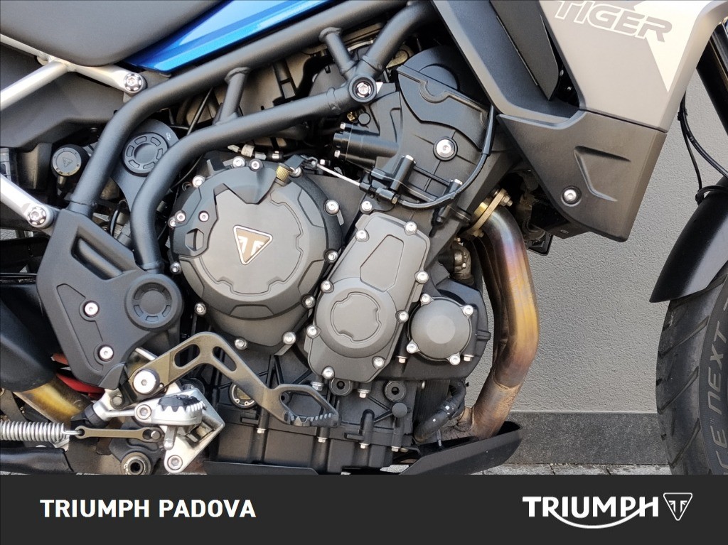 TRIUMPH Tiger 900 GT Pro Abs