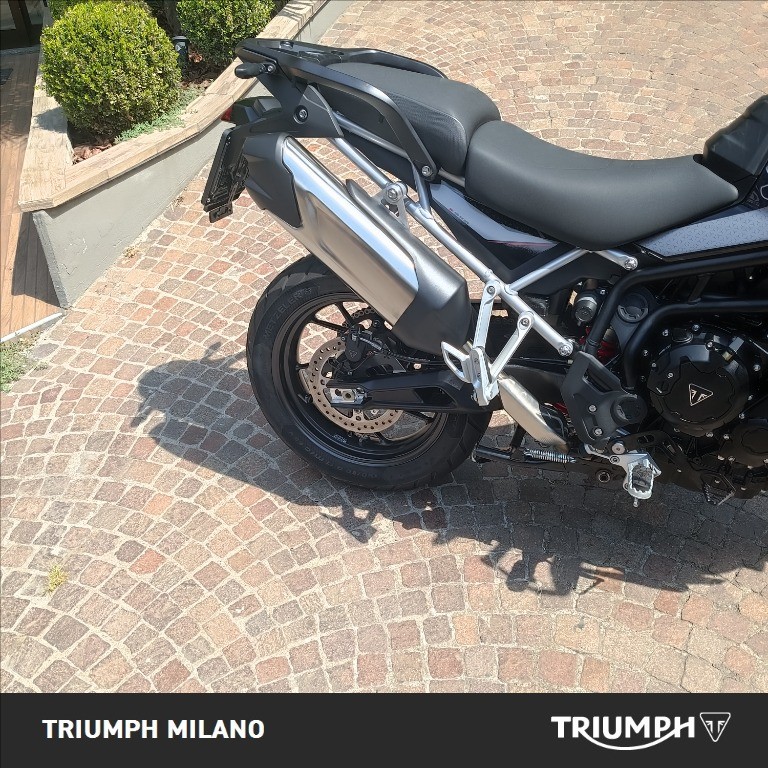 TRIUMPH Tiger 900 GT Pro Abs