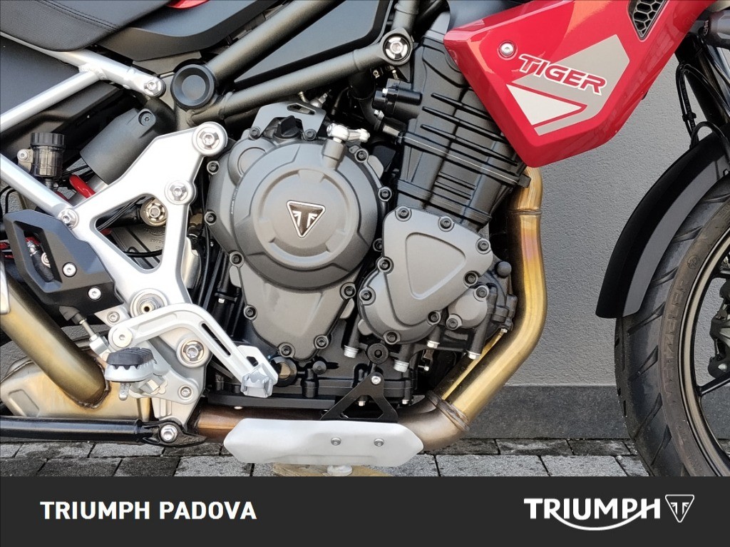 TRIUMPH Tiger 1200 GT Pro Abs