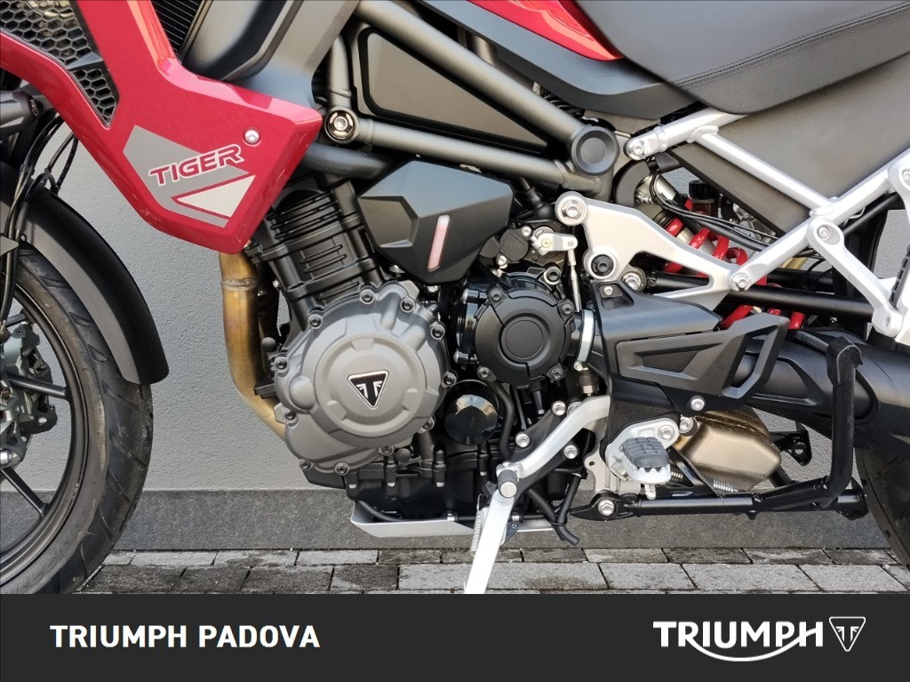 TRIUMPH Tiger 1200 GT Pro Abs