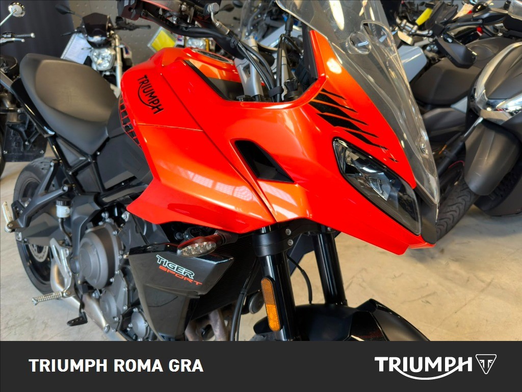 TRIUMPH Tiger Sport 660 Abs