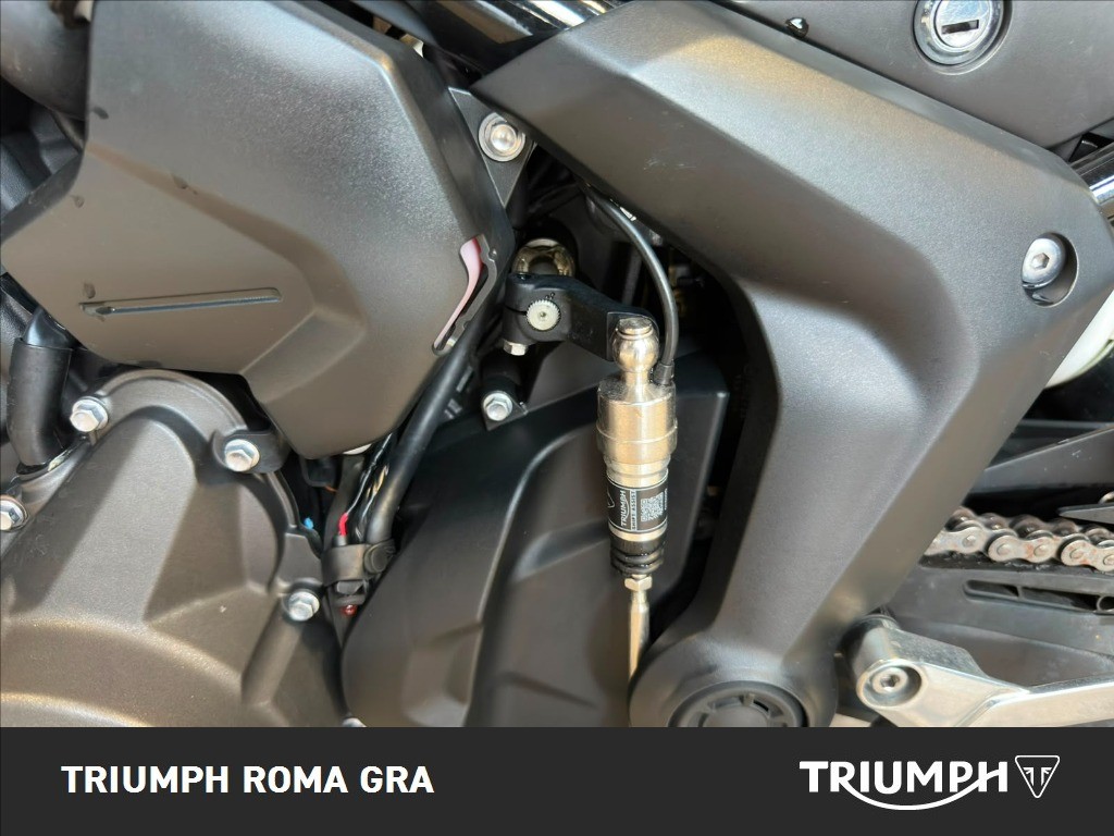 TRIUMPH Tiger Sport 660 Abs