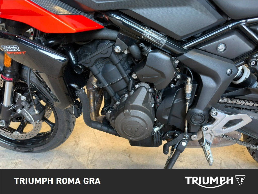 TRIUMPH Tiger Sport 660 Abs