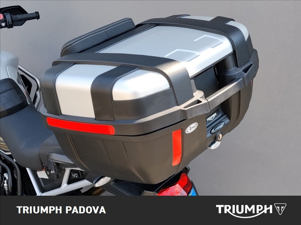 TRIUMPH Tiger 900 Rally Pro Abs