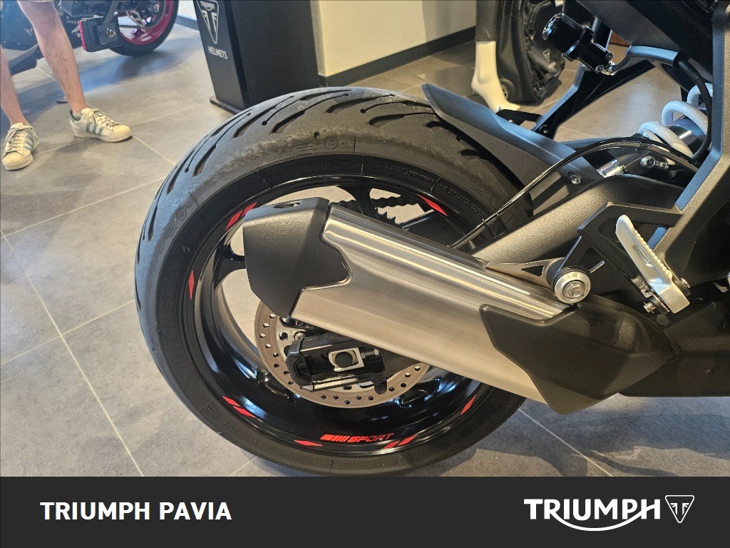 TRIUMPH Tiger Sport 800 Abs