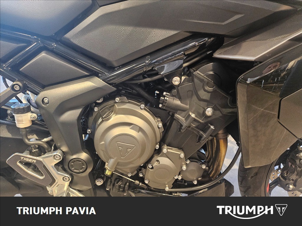 TRIUMPH Tiger Sport 800 Abs