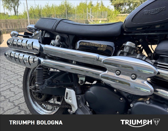 TRIUMPH Scrambler 865 
