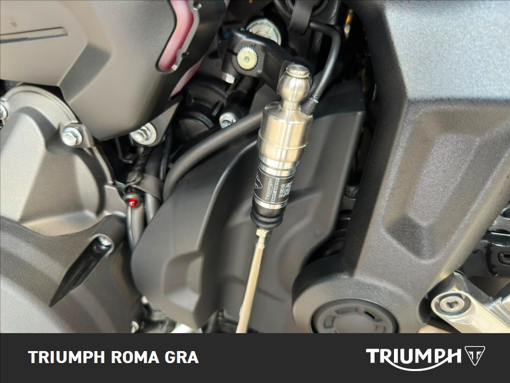 TRIUMPH Trident 660 Triple Tribute Abs