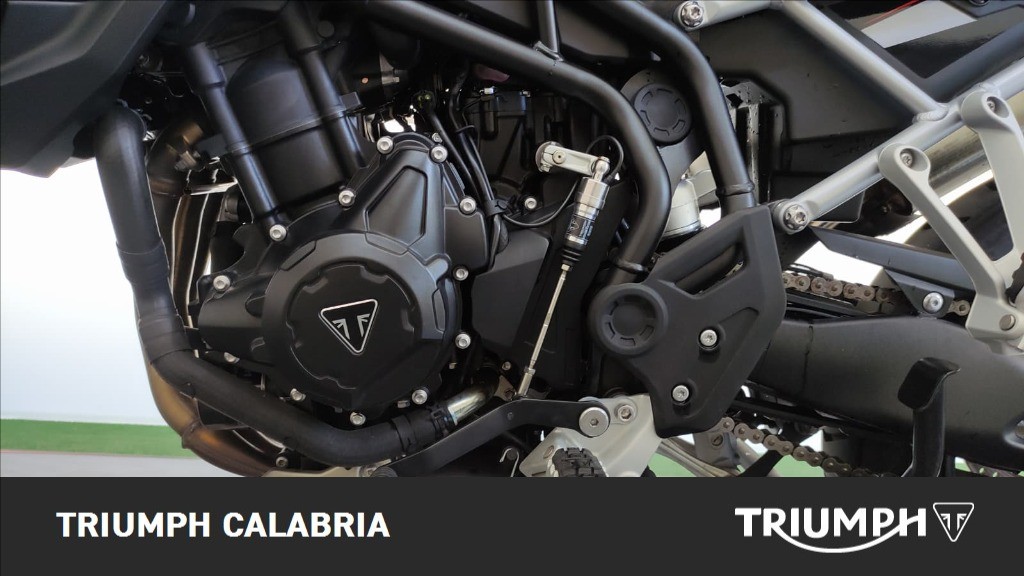 TRIUMPH Tiger 900 GT Abs