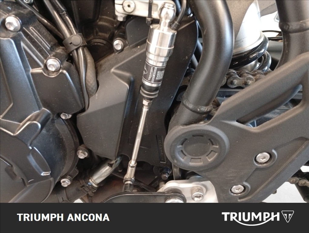 TRIUMPH Tiger 900 GT Abs