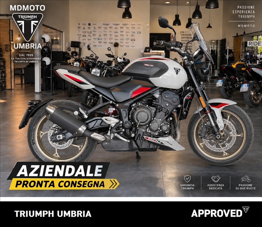 TRIUMPH Trident 800 Ash Grey Abs