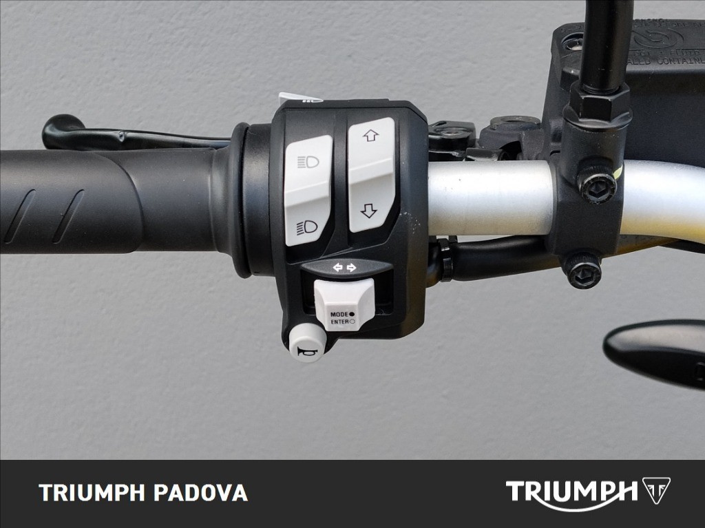 DUCATI Scrambler 800 Icon