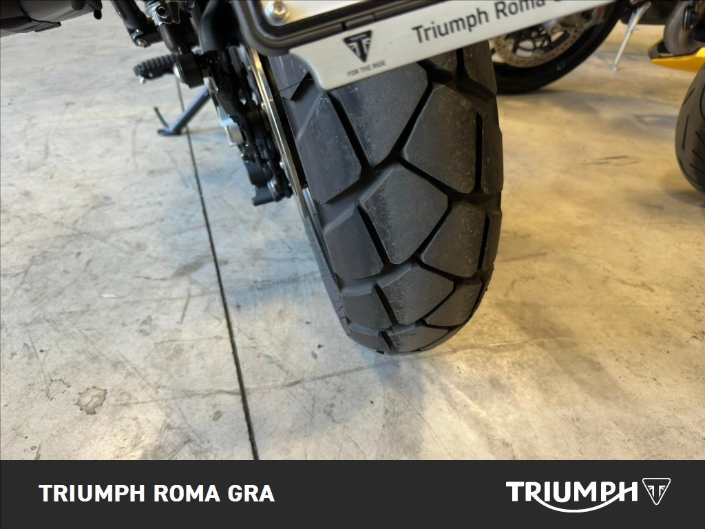 TRIUMPH Scrambler 900 Matt Khaki Abs E5+