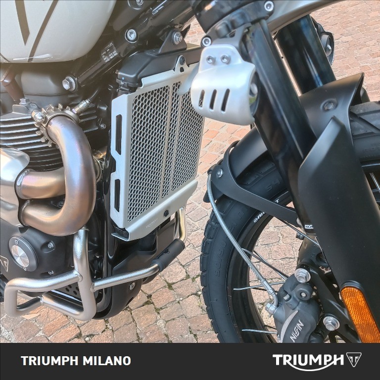 TRIUMPH Scrambler 1200 X Ash Grey Abs