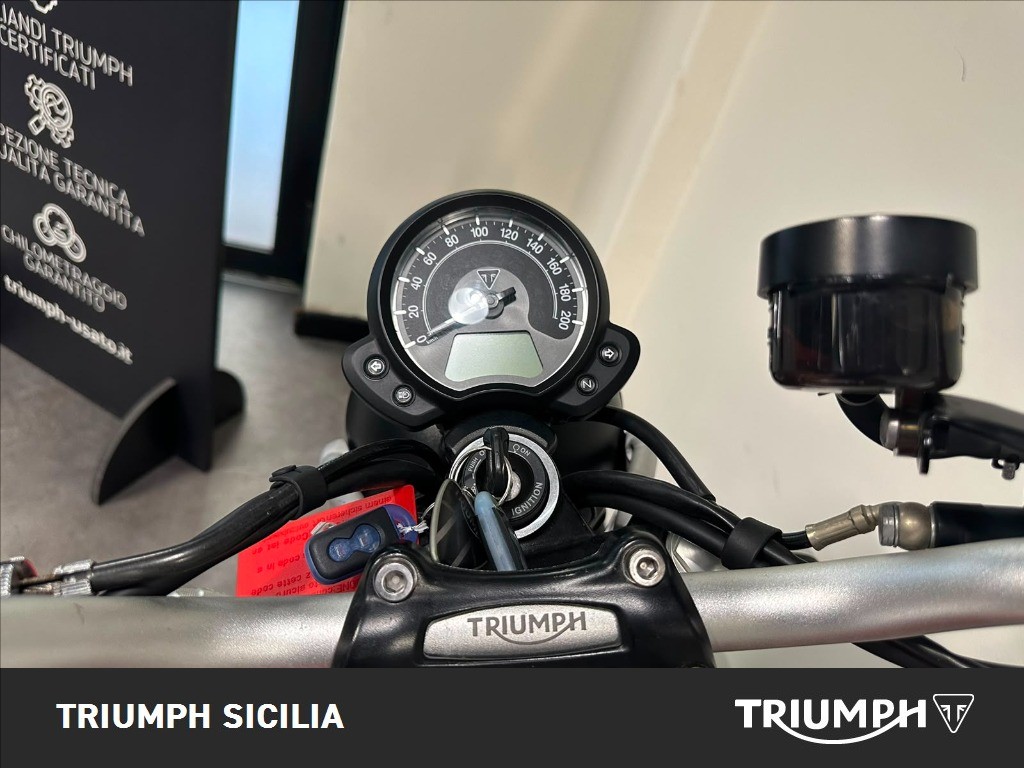 TRIUMPH Street Scrambler 900 