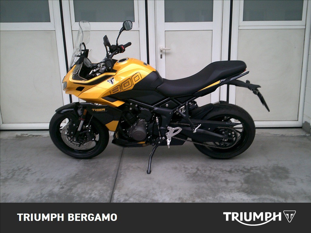 TRIUMPH Tiger Sport 800 Abs