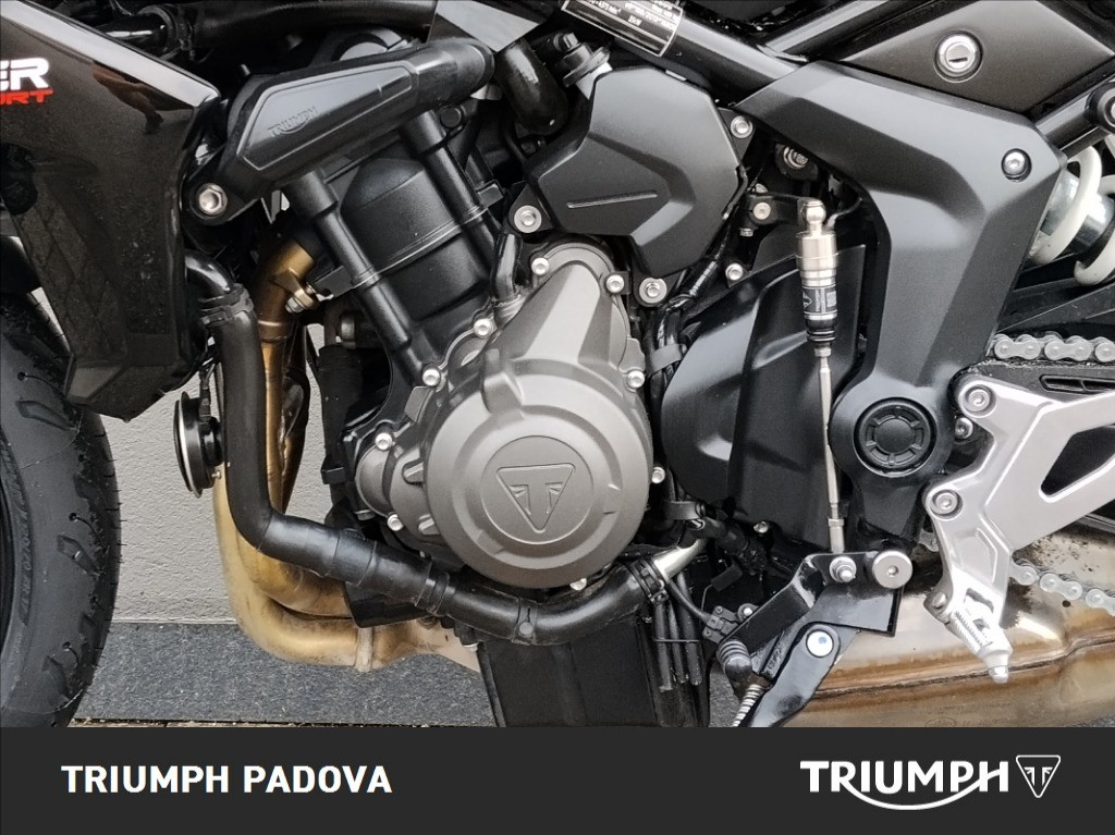 TRIUMPH Tiger Sport 660 Abs