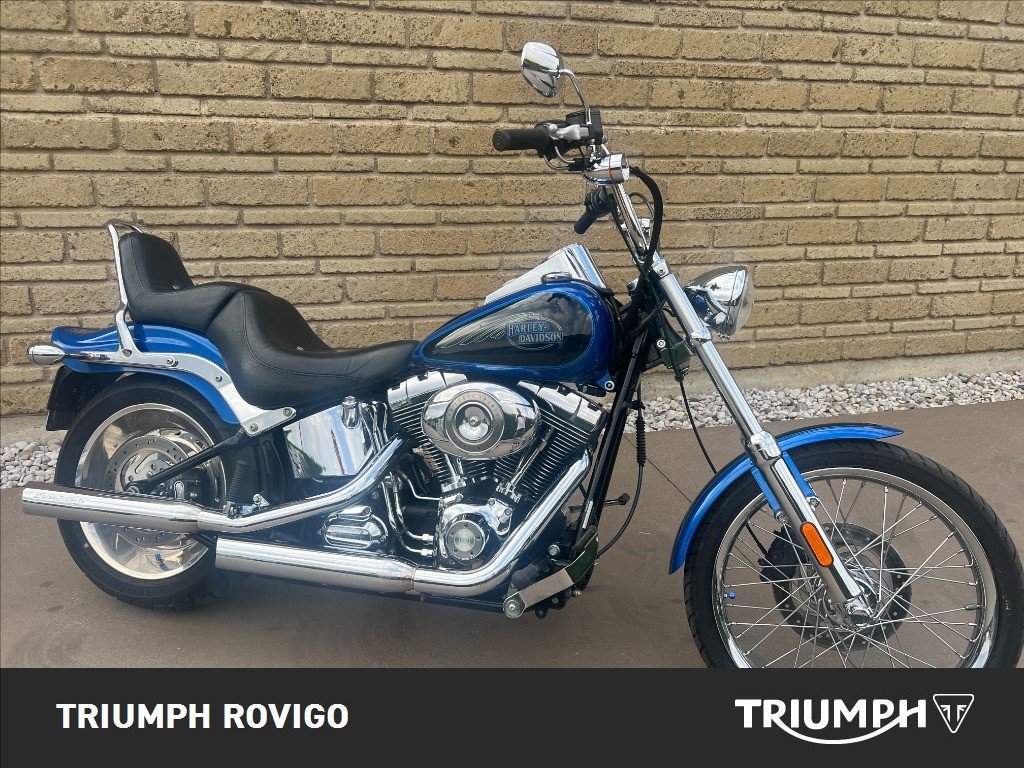 HARLEY-DAVIDSON Softail 1584 Custom