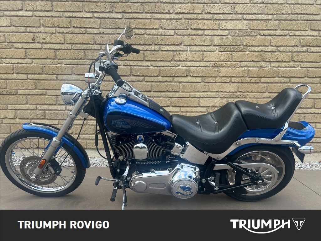HARLEY-DAVIDSON Softail 1584 Custom