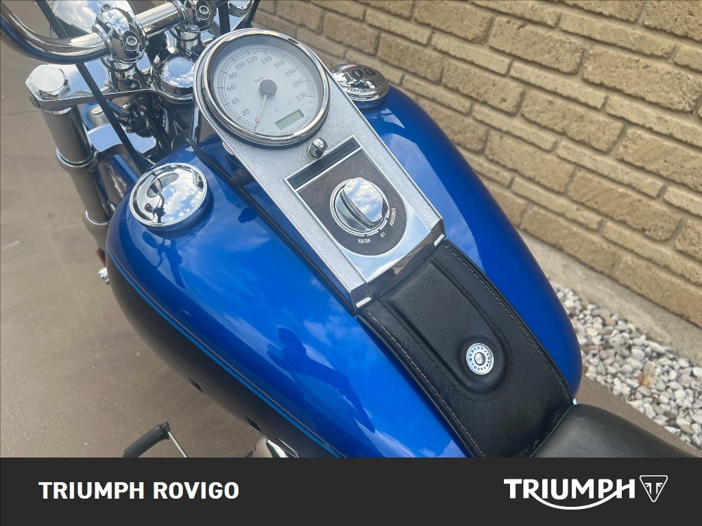 HARLEY-DAVIDSON Softail 1584 Custom