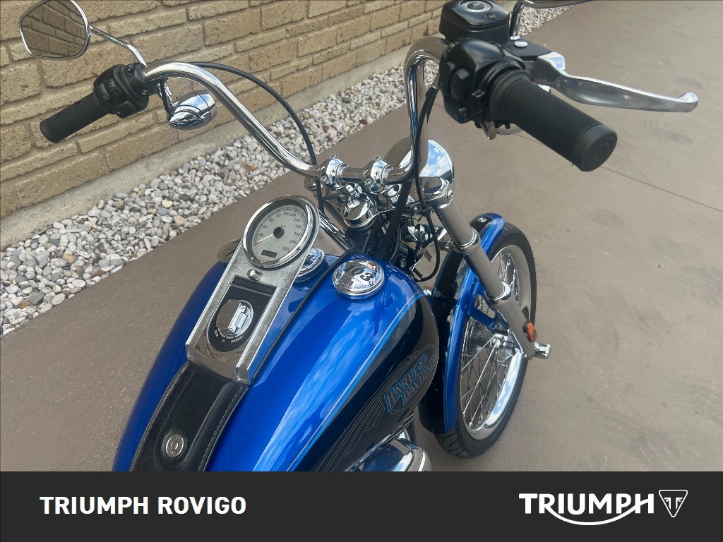 HARLEY-DAVIDSON Softail 1584 Custom