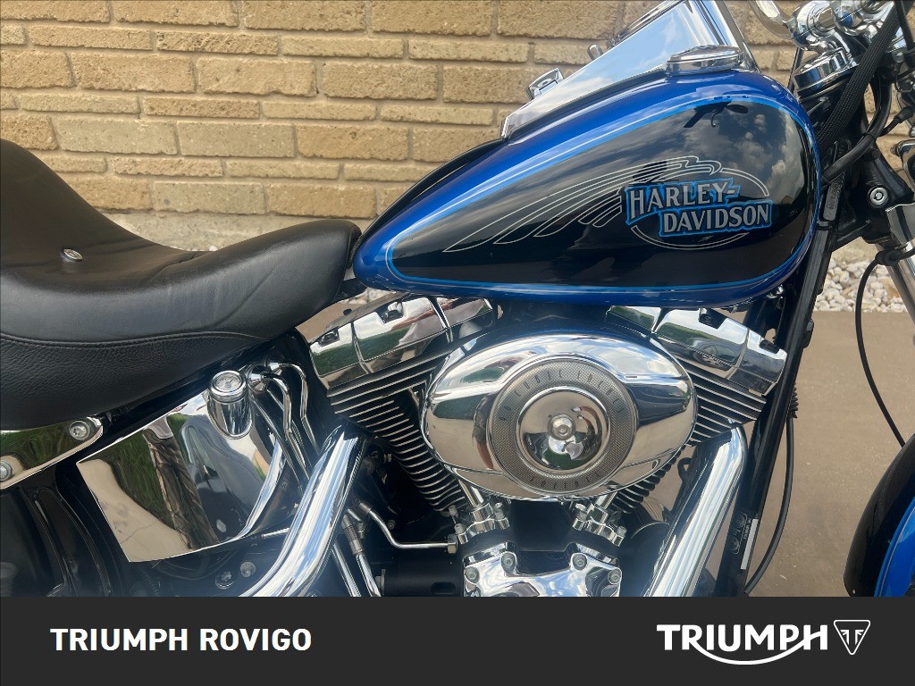 HARLEY-DAVIDSON Softail 1584 Custom