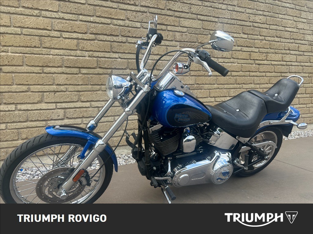 HARLEY-DAVIDSON Softail 1584 Custom