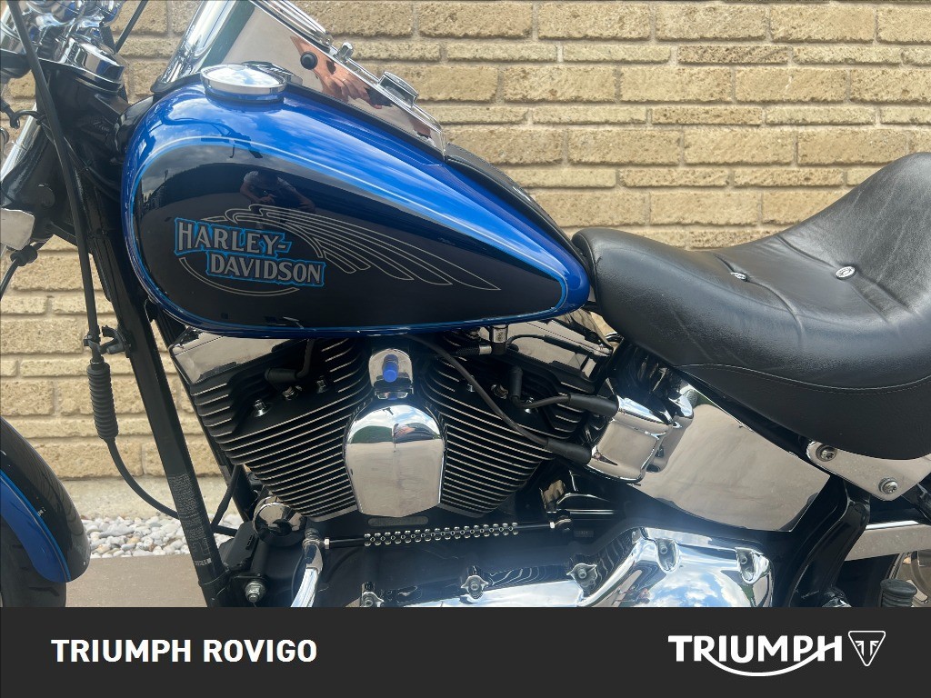 HARLEY-DAVIDSON Softail 1584 Custom