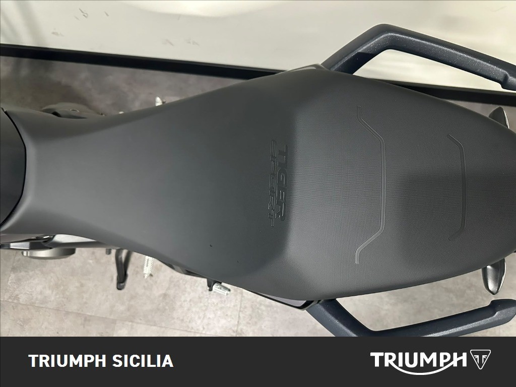 TRIUMPH Tiger Sport 800 Abs