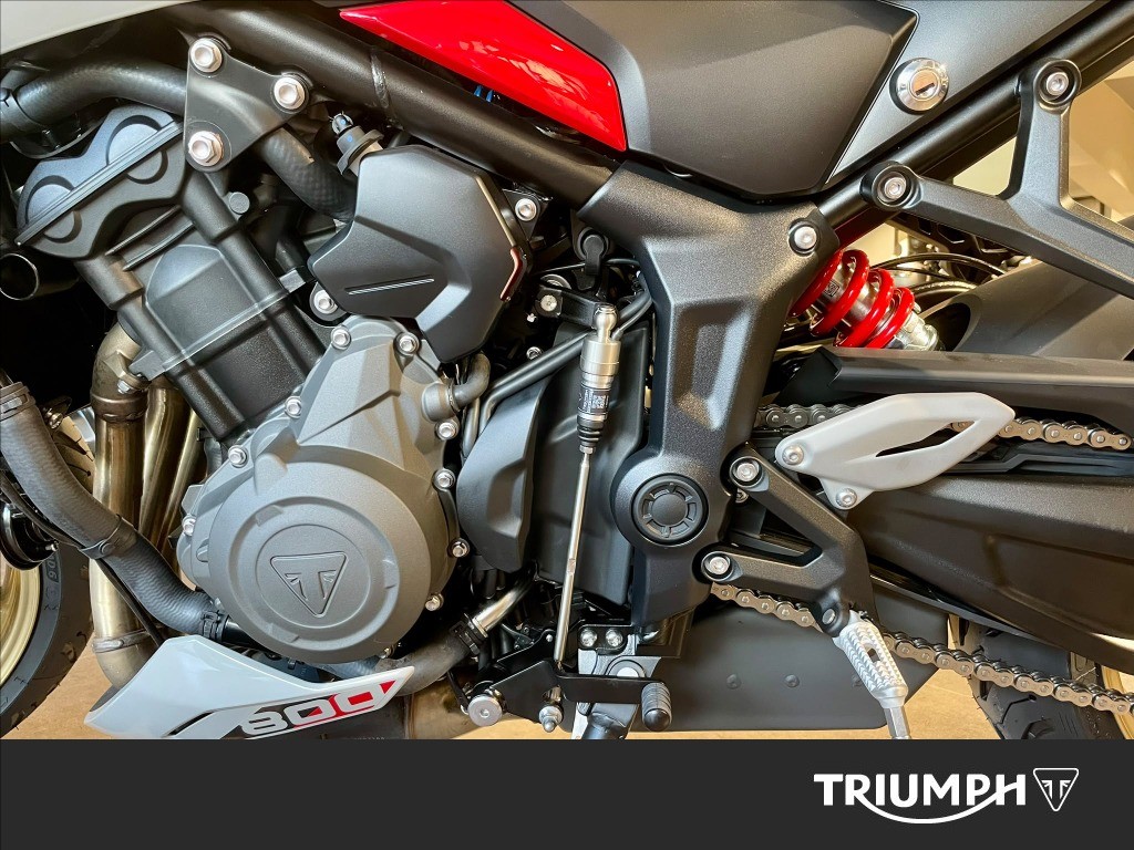 TRIUMPH Trident 800 Ash Grey Abs