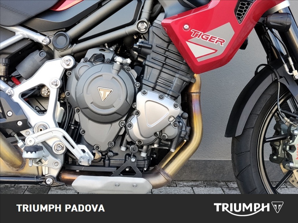 TRIUMPH Tiger 1200 GT Pro Abs