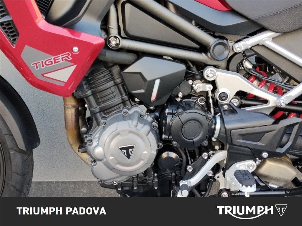 TRIUMPH Tiger 1200 GT Pro Abs