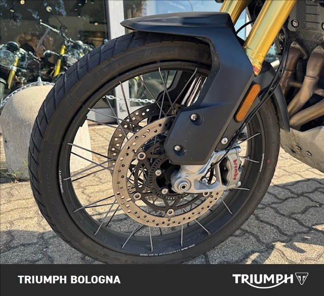 TRIUMPH Tiger 1200 Rally Pro Abs