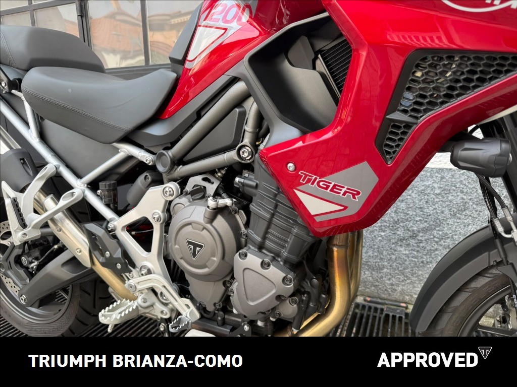 TRIUMPH Tiger 1200 GT Pro Abs